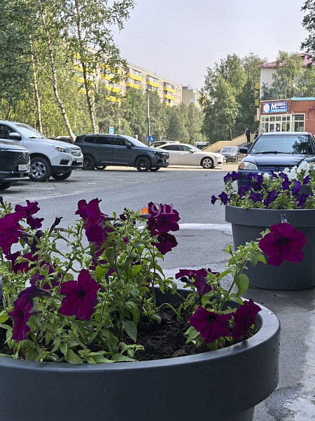 2-к квартира, 50 кв.м.